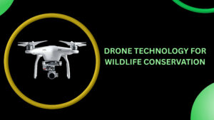 Drone Technology for Wildlife Conservation